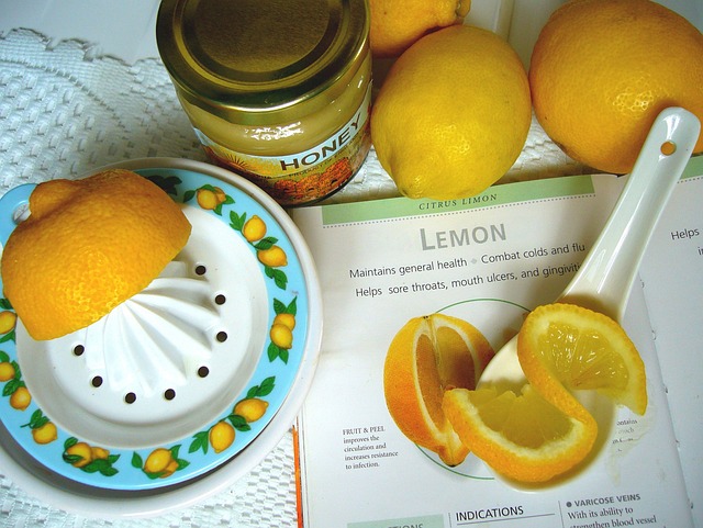 Få friskpresset citronsaft i køkkenet med Ib Laursens citronpresser
